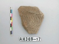 藏品(灰黑色夾砂陶片)的圖片